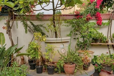 Eden Garden Villa By Jadecaps Nr Mg Road Garden バンガロール エクステリア 写真