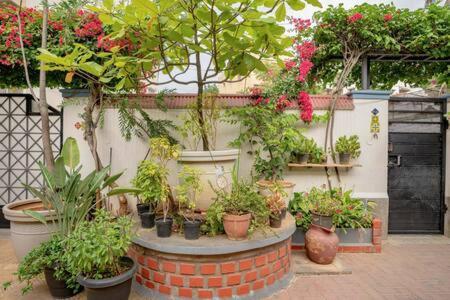 Eden Garden Villa By Jadecaps Nr Mg Road Garden バンガロール エクステリア 写真